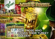 Wild Turkey Slots Bonus Game